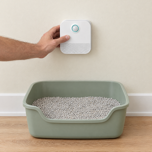 Place above litter box