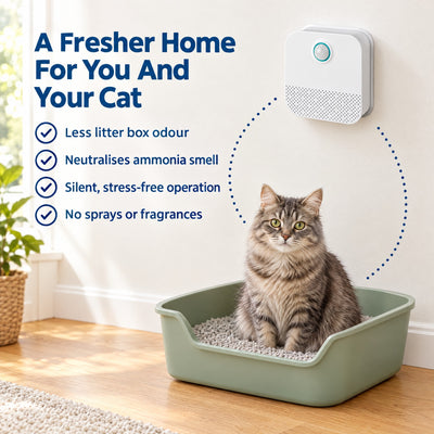 Intelligent Cat Odor Purifier Rechargeable